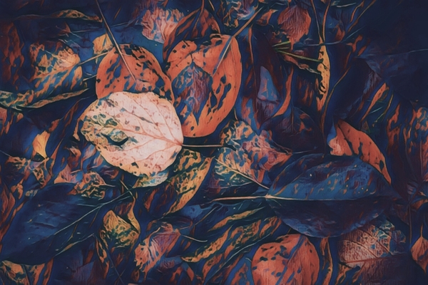 Fall Leaves Digital Download