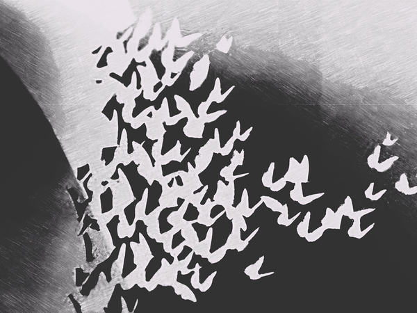 Butterfly Flutter B&W Digital Download