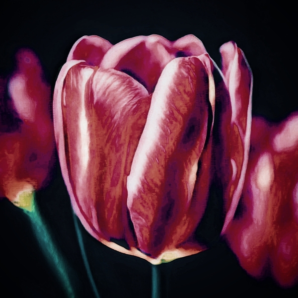 Flower bud Digital Download