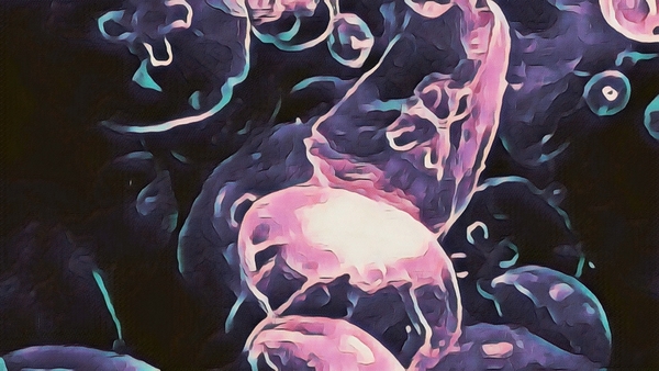 Fluid Motion Colored Digital Download