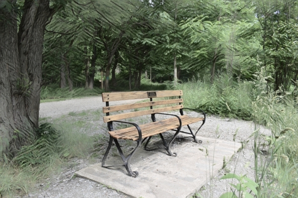 Park bench Digital Download