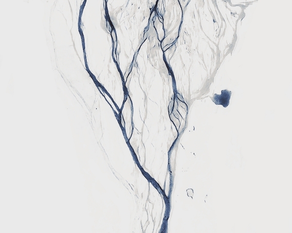 River Vein Digital Download
