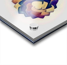 Love Flower Acrylic print