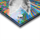 oculorum caligo Acrylic print