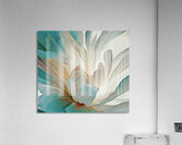 Light Petals Acrylic Print