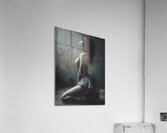 Arched Silence - B&W Acrylic Print