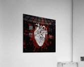 Warriors Heart Acrylic Print