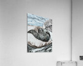 Water Snake Impression acrylique