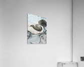 Water Snake - Outer View Acrylic Print