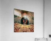 Heart in a web Acrylic Print