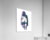 Shadow Play Acrylic Print
