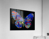 Color Emergance Acrylic Print
