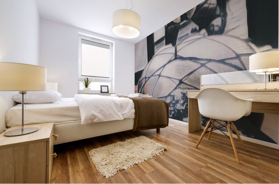 Mirrored Mural print