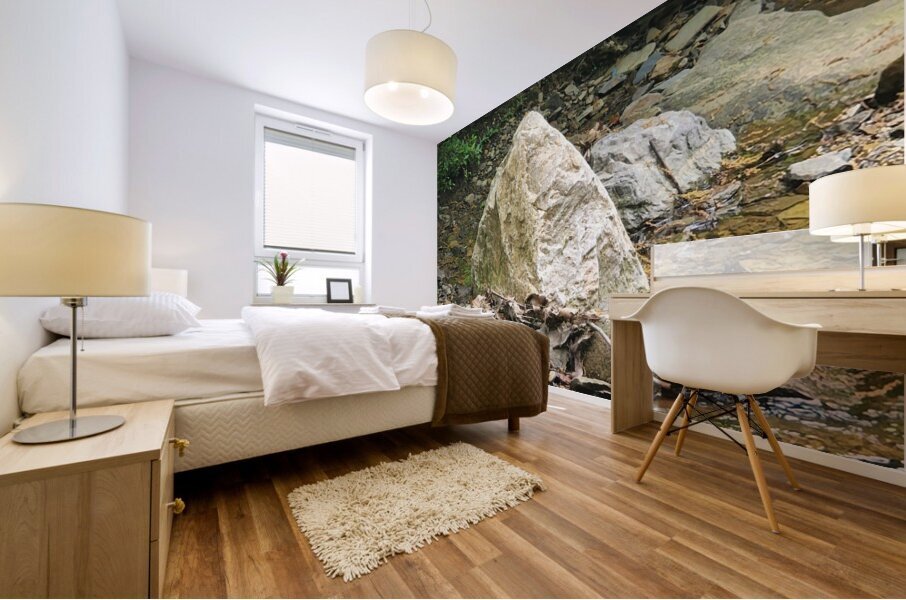 Waters Edge Mural print