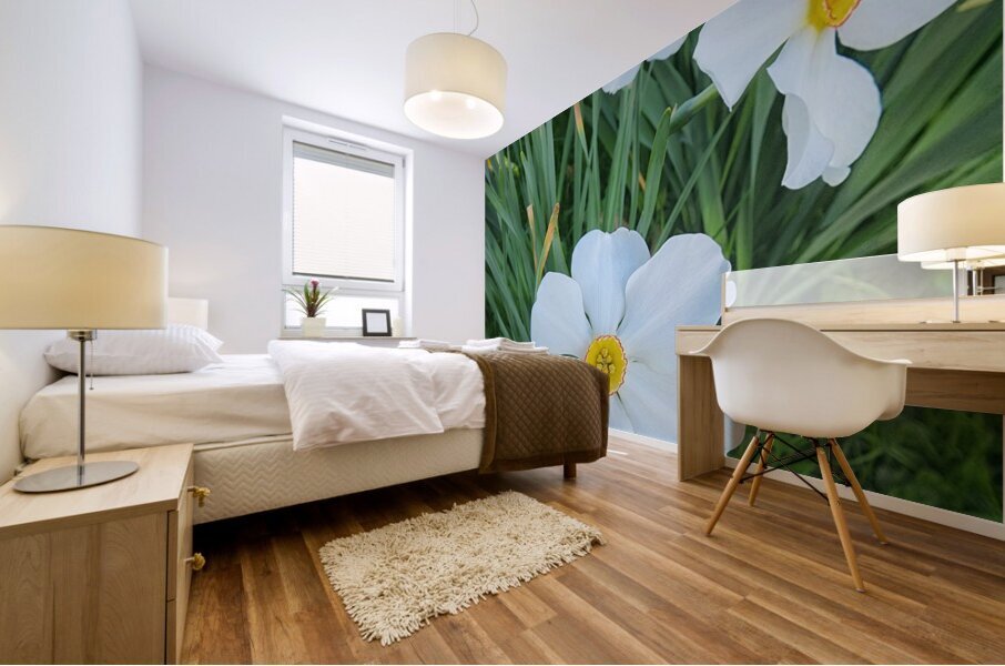 Park Flower   Focused Mural print