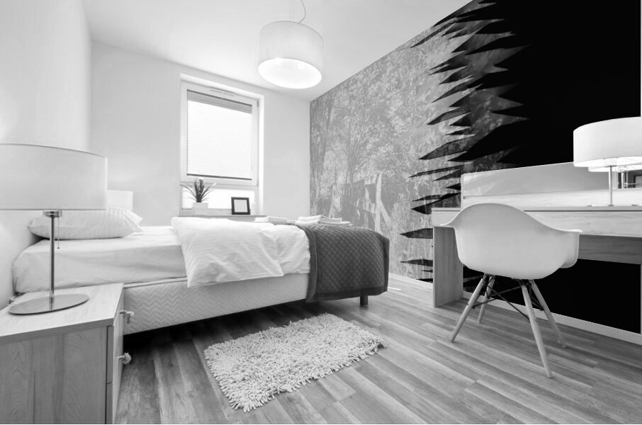 Jagged Edges B&W Mural print