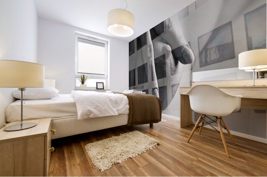 Hidden In View Mural print