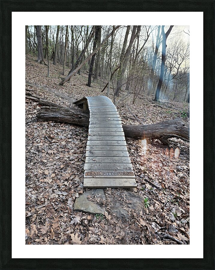 Bike Trail   Full View Picture Frame print