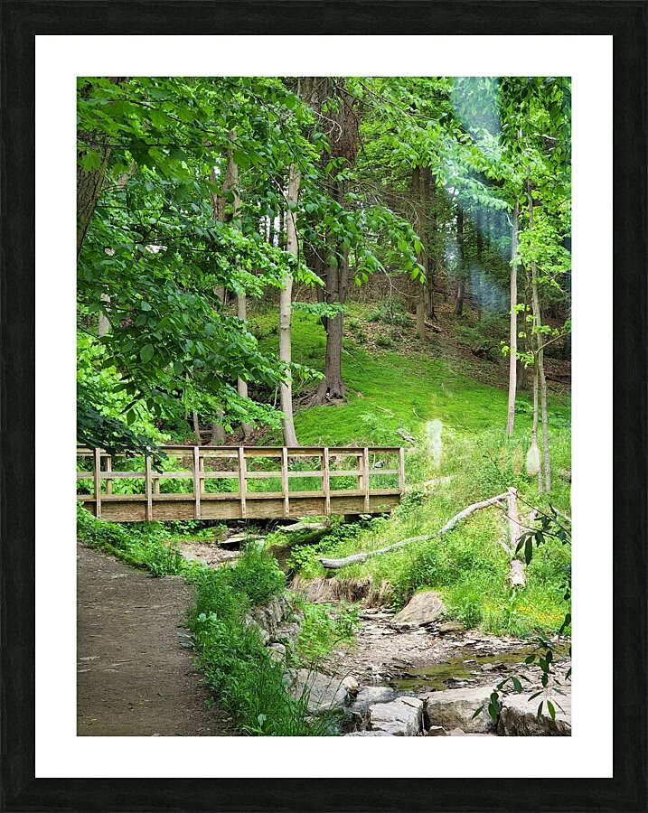 Falls Park Bridge - Side View Picture Frame print
