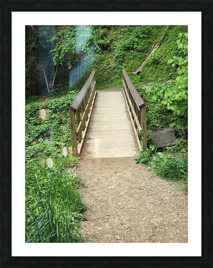 Falls Park Bridge  Picture Frame print