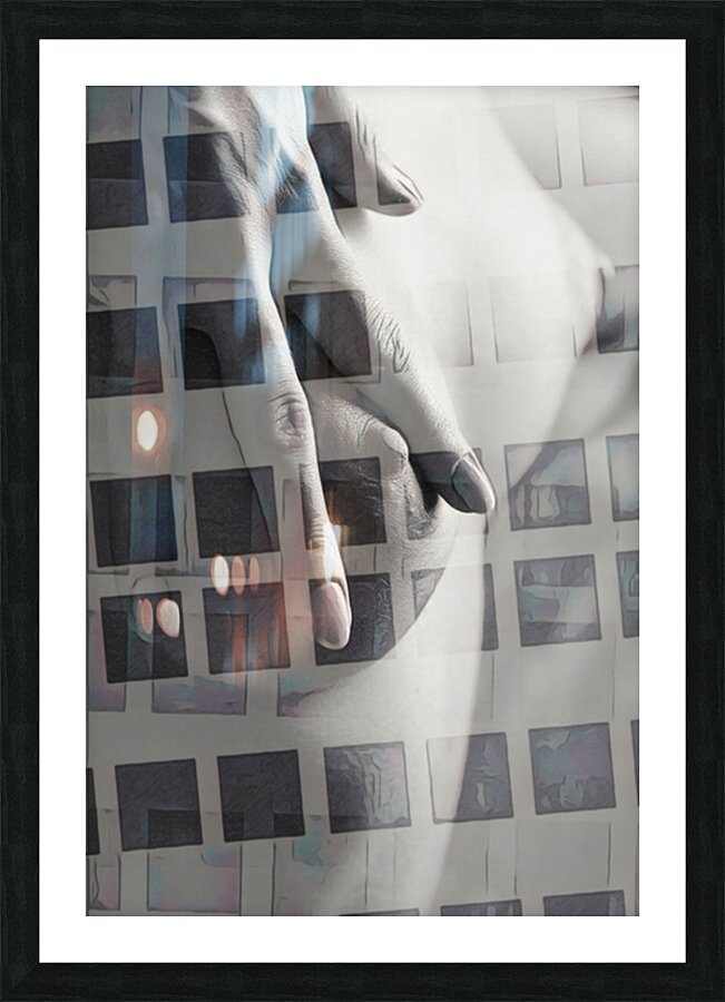 Hidden In View Picture Frame print