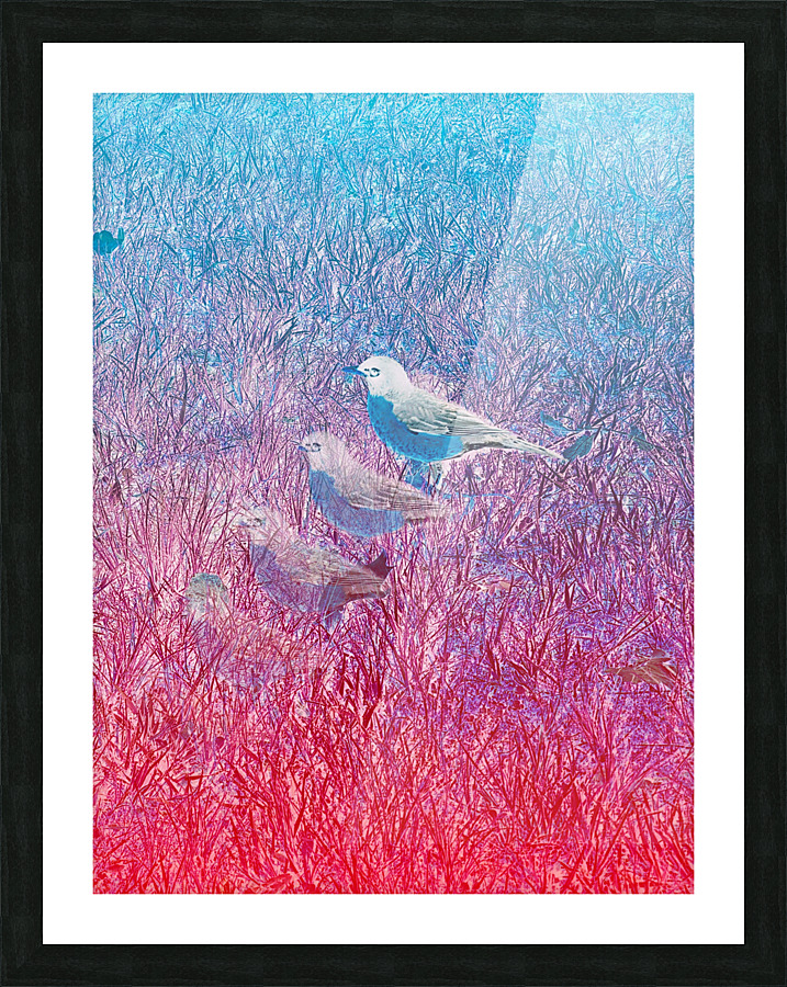 Reflections - Bird Picture Frame print
