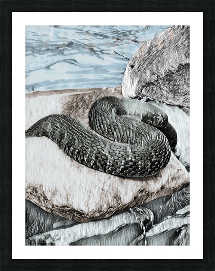 Water Snake Picture Frame print