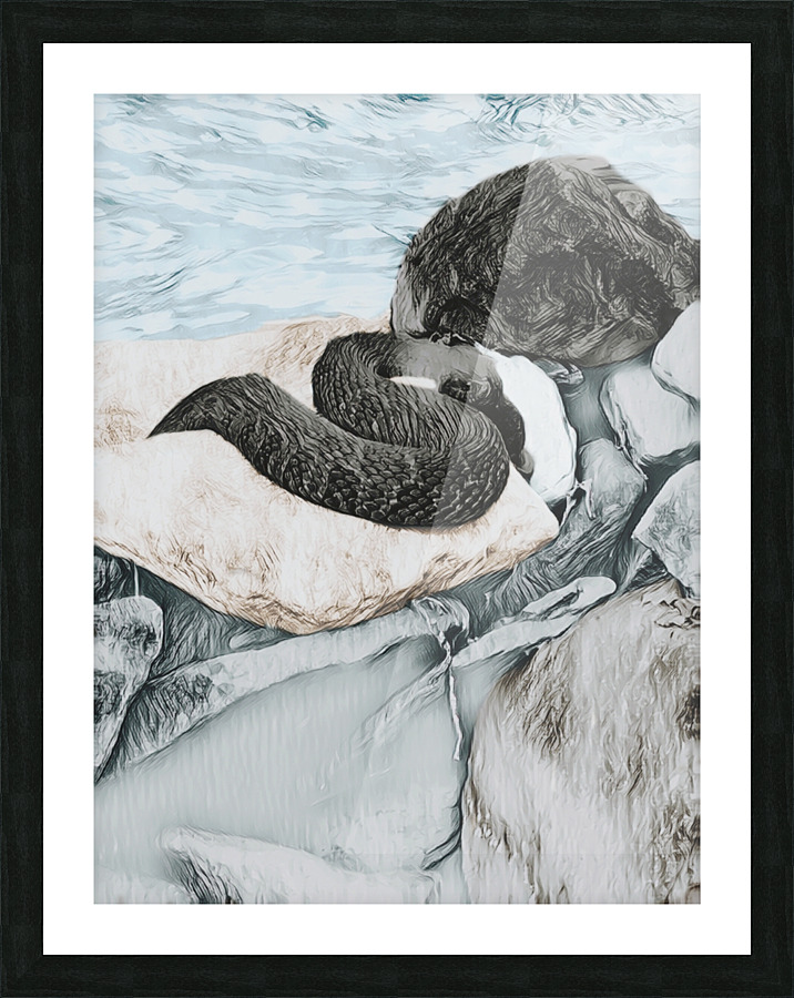 Water Snake - Outer View Picture Frame print