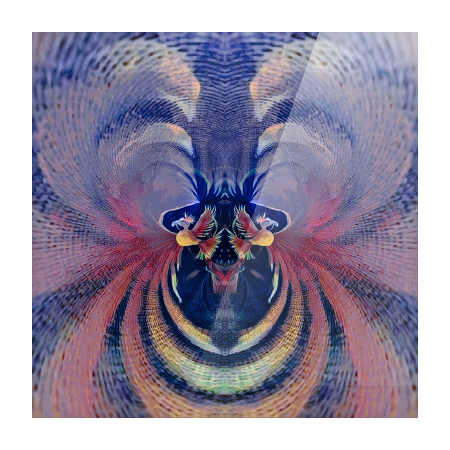 Rainbow Wind Picture Frame print