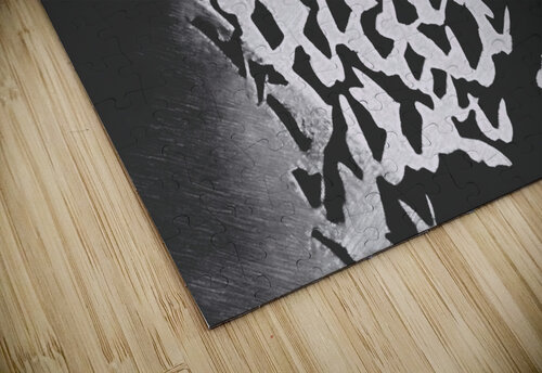Butterfly Flutter B&W Millie R Lissow puzzle