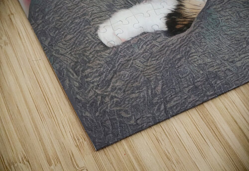 Attention Gaze Millie R Lissow puzzle