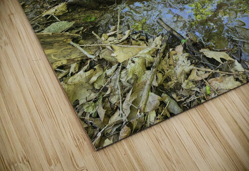 Wet Stone Millie R Lissow puzzle
