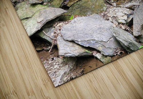 Trickle Pond Millie R Lissow puzzle
