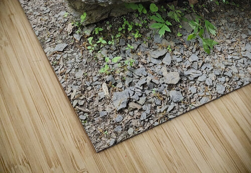Cracked Slate Stone Millie R Lissow puzzle