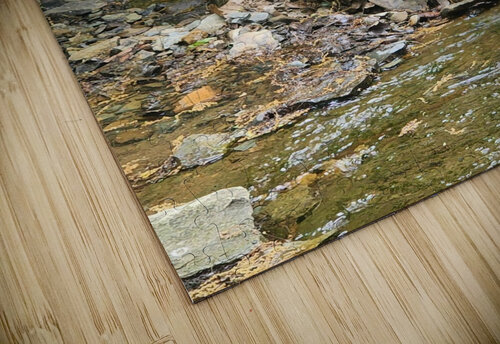 Waters Edge Millie R Lissow puzzle