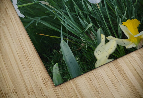 Park Flowers Millie R Lissow puzzle