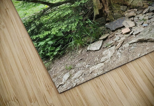Signed Tree Millie R Lissow puzzle