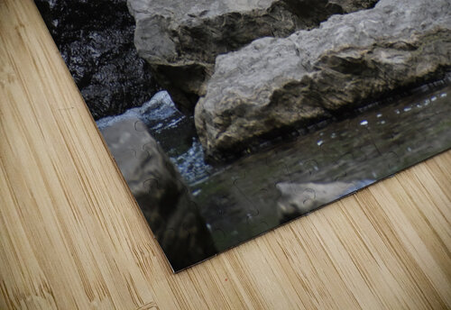 Moving Water Millie R Lissow puzzle