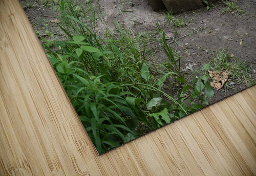 Brick Firepit Millie R Lissow puzzle