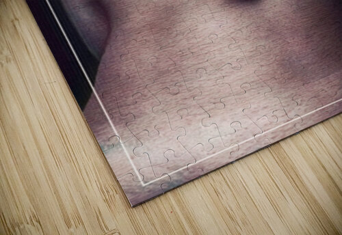 Presenting View Millie R Lissow puzzle