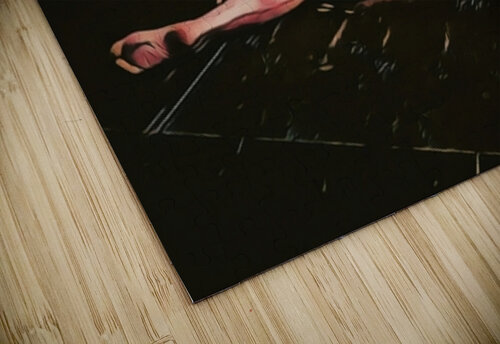 Fiery Beauty Millie R Lissow puzzle
