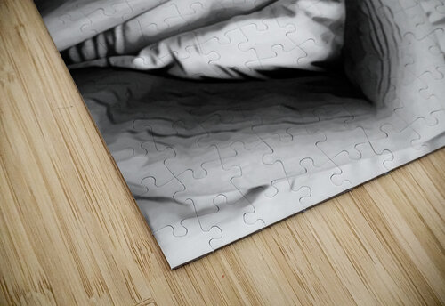 Timeless  - B&W Millie R Lissow puzzle