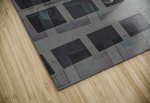 Hidden In View Millie R Lissow puzzle