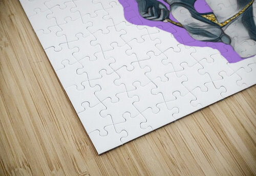 Shadow Play Millie R Lissow puzzle