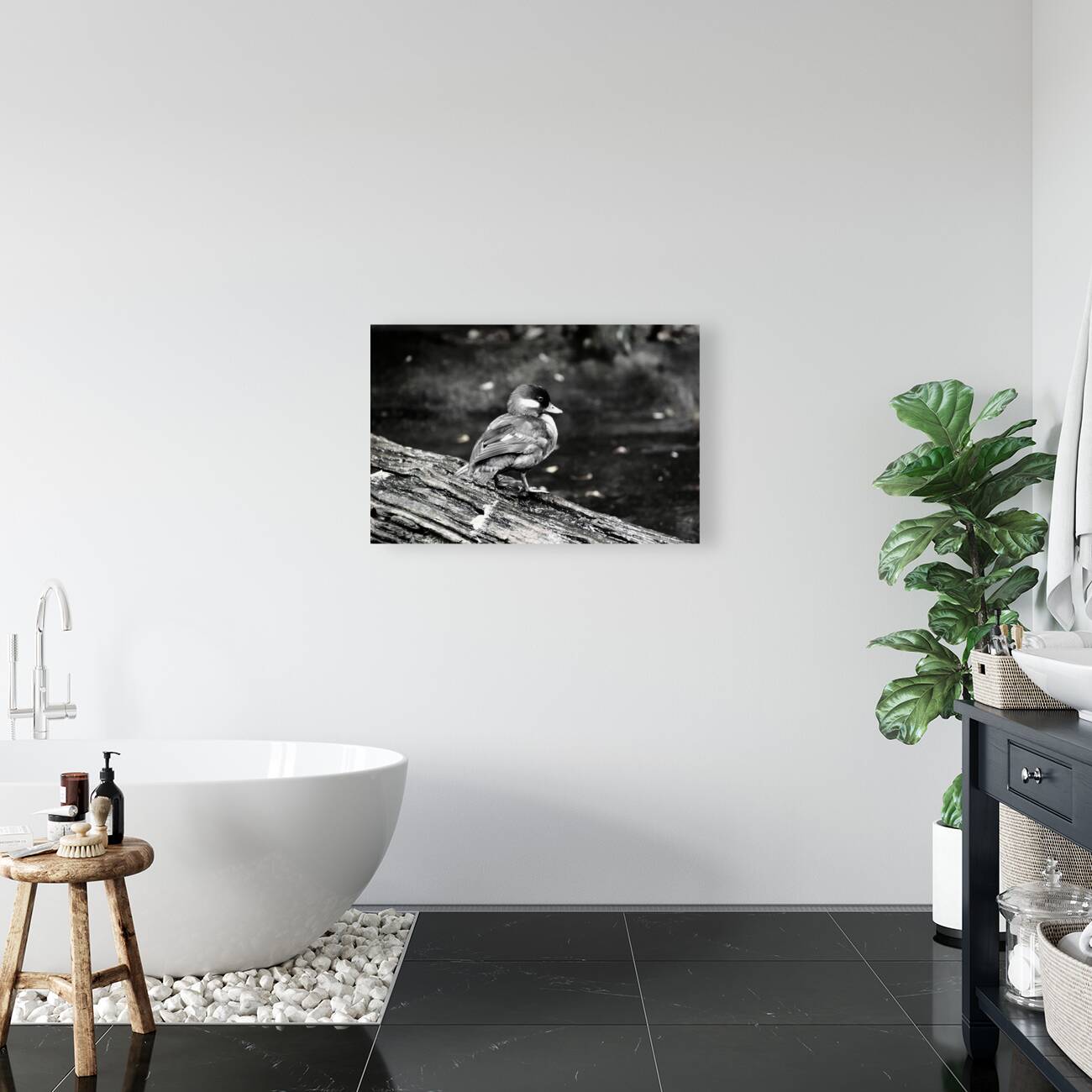 Duckling - Side View - B&W Reproduction