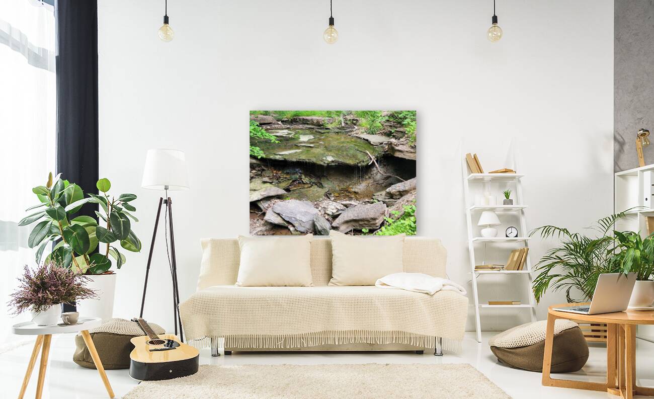 Trickle Pond Reproduction