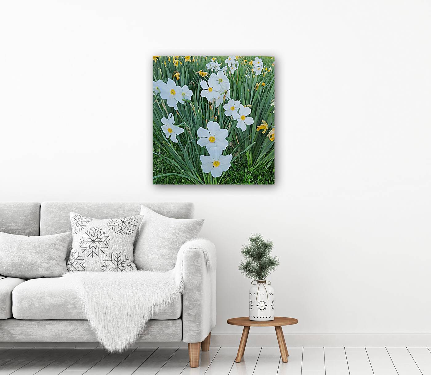 Park Flowers   Cluster Reproduction