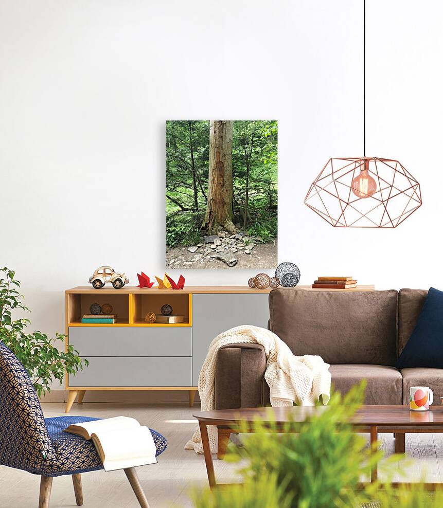 Signed Tree Reproduction