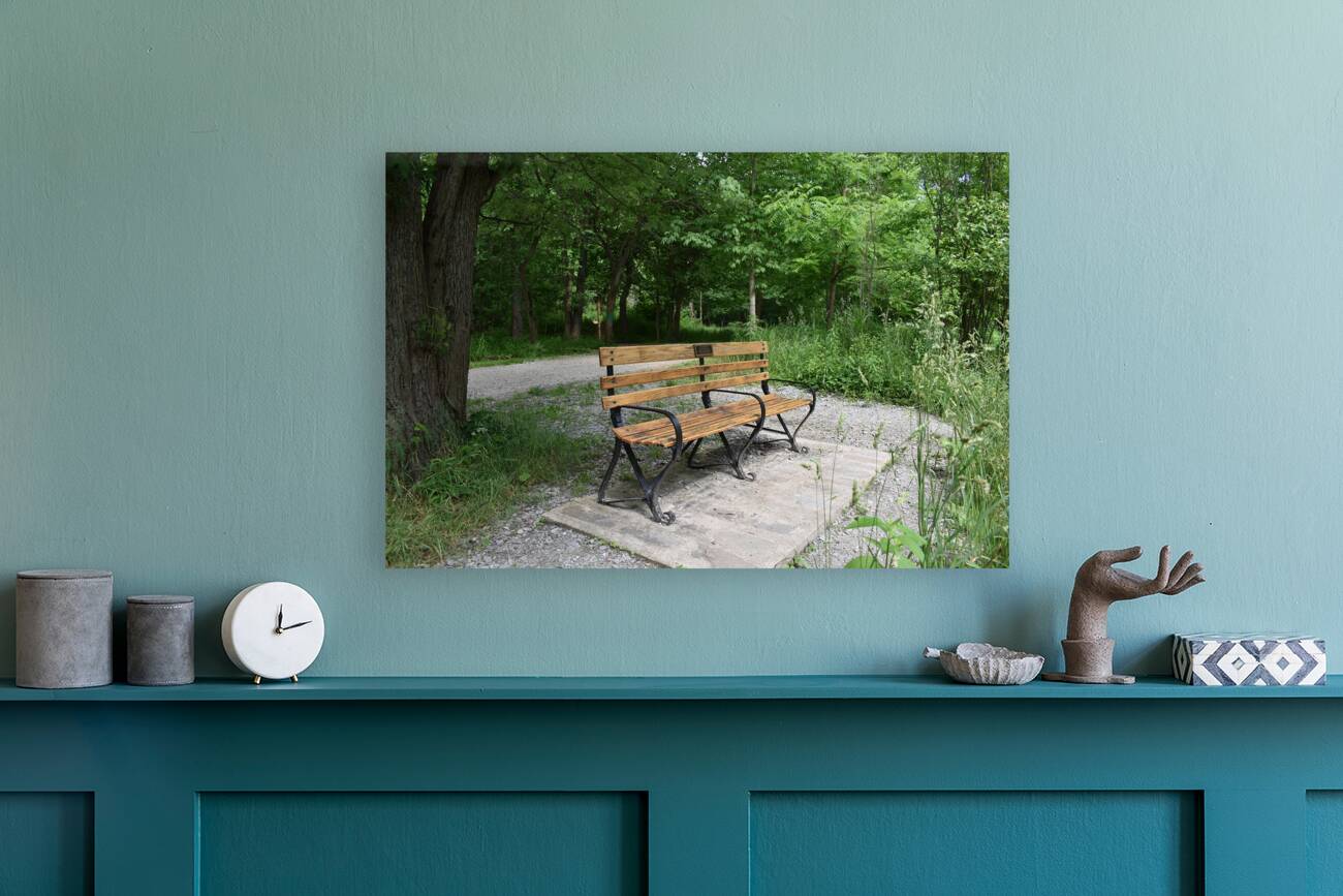 Tree & Park Bench Reproduction