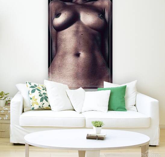 Presenting View Reproduction